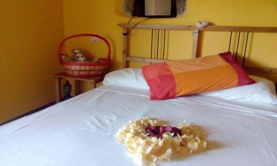 Farmhouse B&B Castagnola 64 Ne Dış mekan fotoğraf